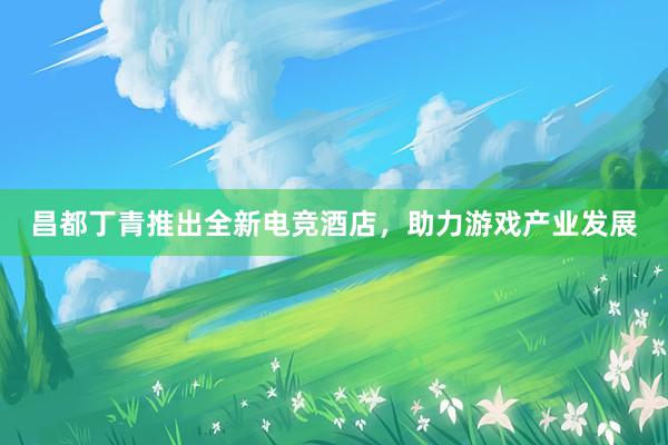 昌都丁青推出全新电竞酒店，助力游戏产业发展